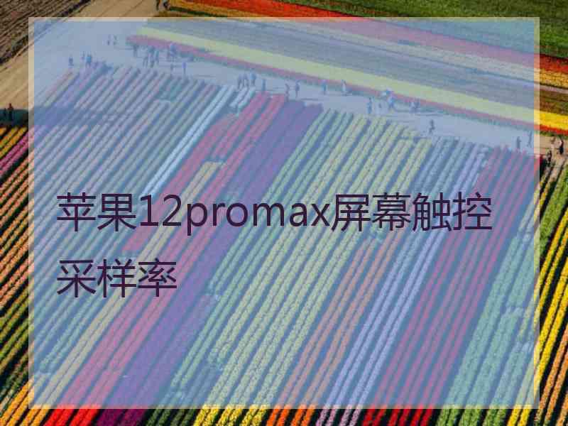 苹果12promax屏幕触控采样率