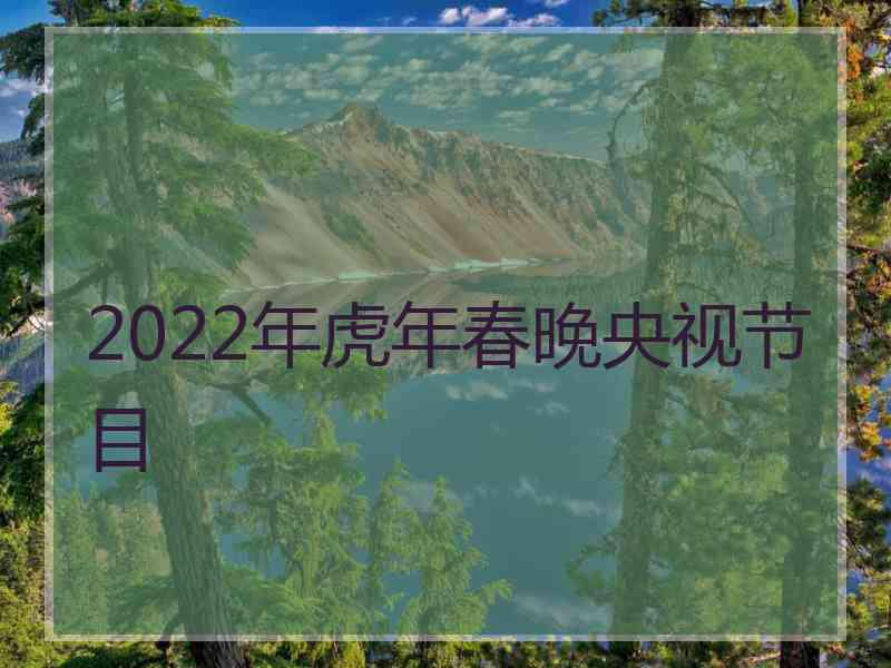 2022年虎年春晚央视节目