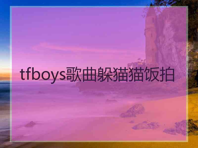 tfboys歌曲躲猫猫饭拍