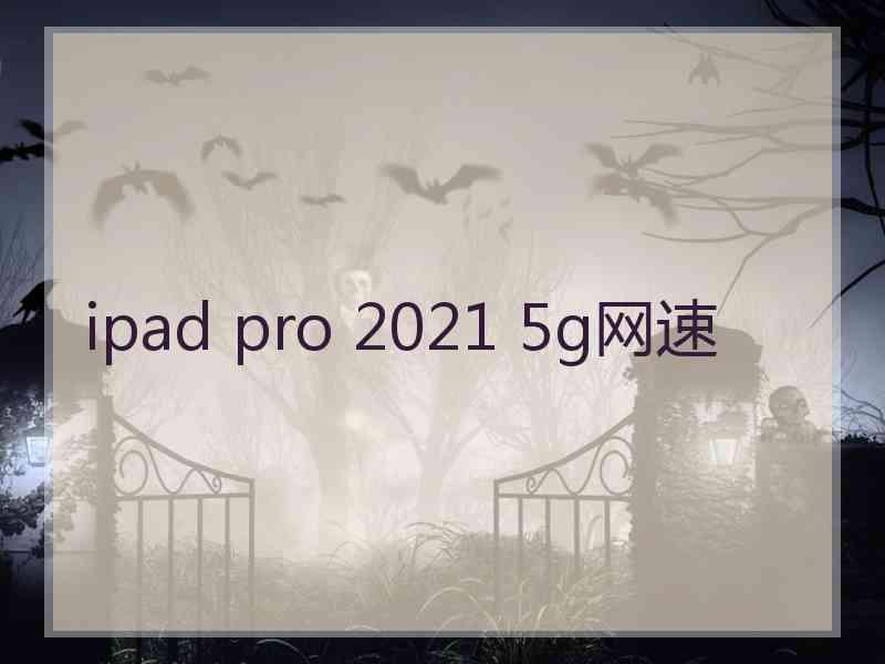 ipad pro 2021 5g网速