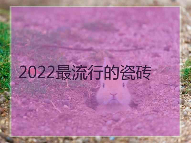 2022最流行的瓷砖