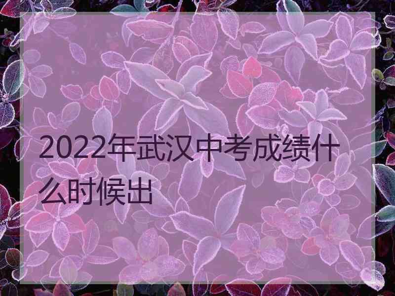 2022年武汉中考成绩什么时候出