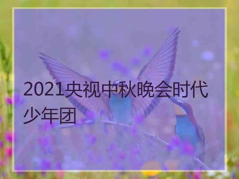 2021央视中秋晚会时代少年团