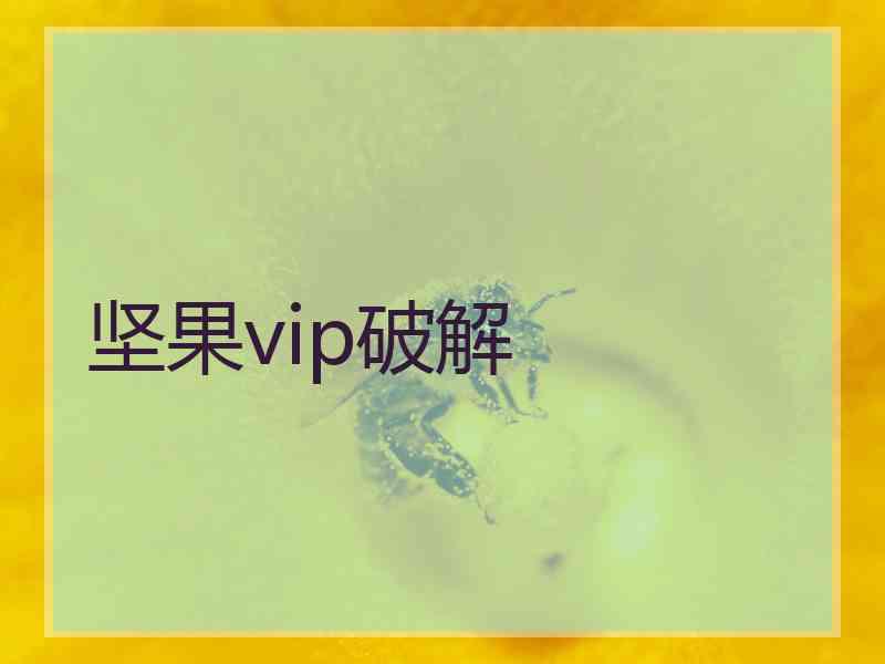 坚果vip破解