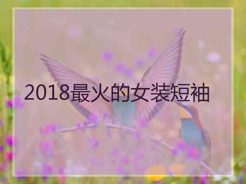 2018最火的女装短袖