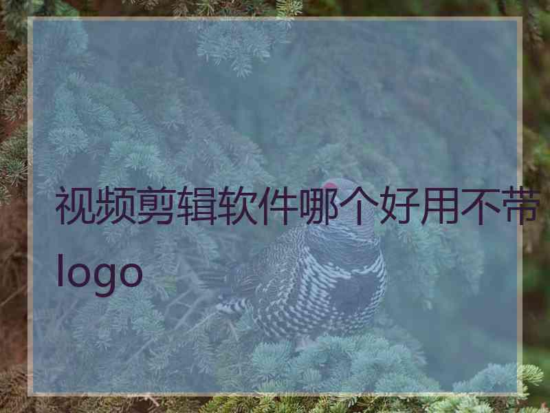 视频剪辑软件哪个好用不带logo