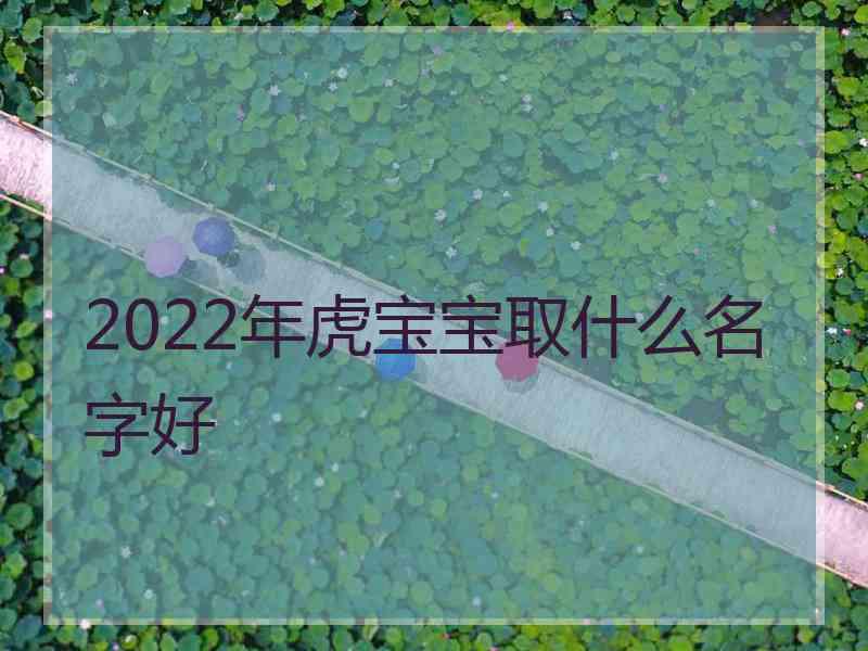 2022年虎宝宝取什么名字好