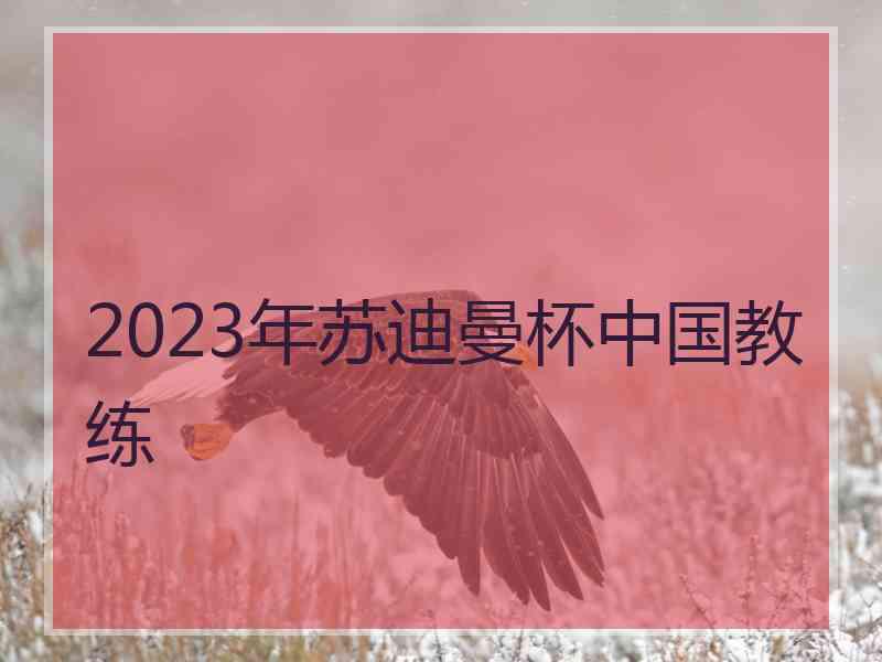 2023年苏迪曼杯中国教练