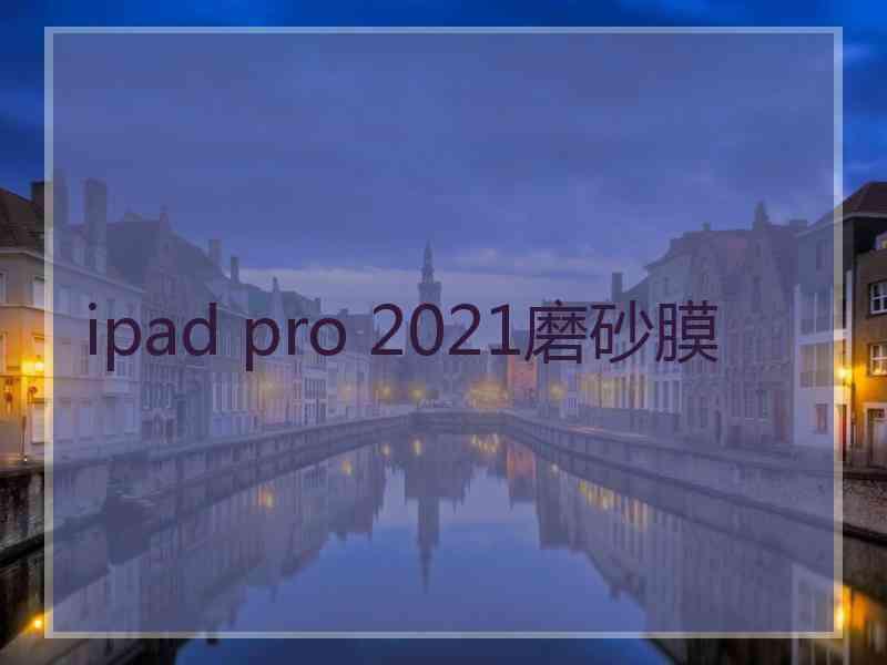 ipad pro 2021磨砂膜