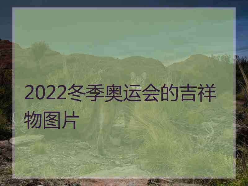 2022冬季奥运会的吉祥物图片