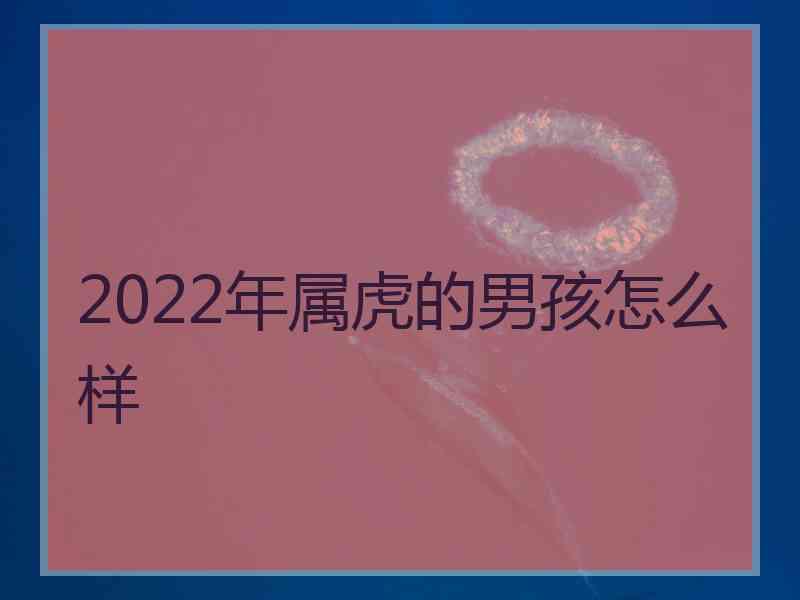 2022年属虎的男孩怎么样