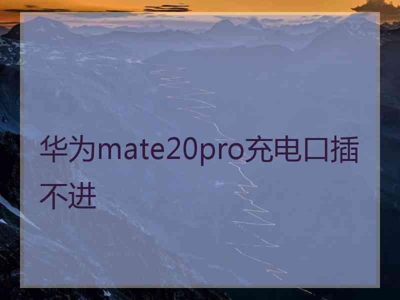 华为mate20pro充电口插不进