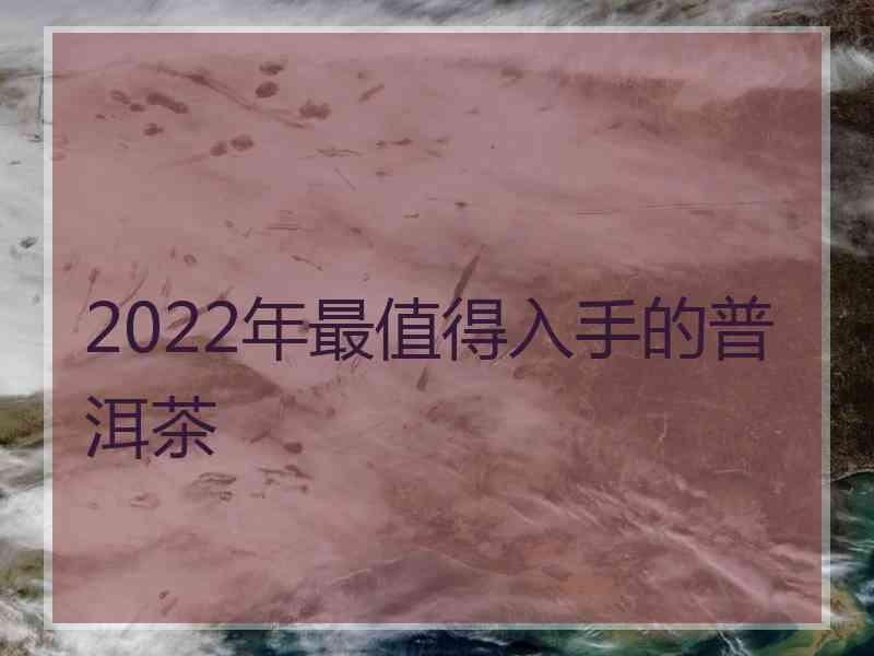 2022年最值得入手的普洱茶