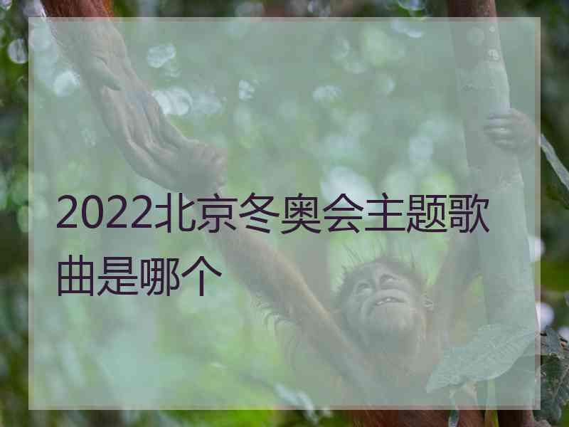 2022北京冬奥会主题歌曲是哪个