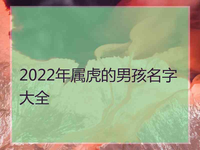 2022年属虎的男孩名字大全