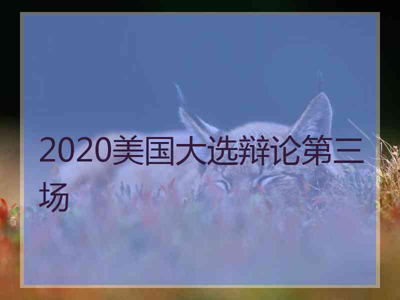 2020美国大选辩论第三场