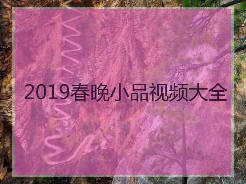 2019春晚小品视频大全