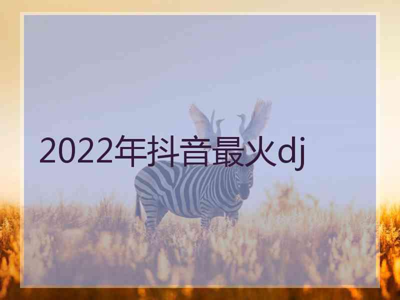 2022年抖音最火dj