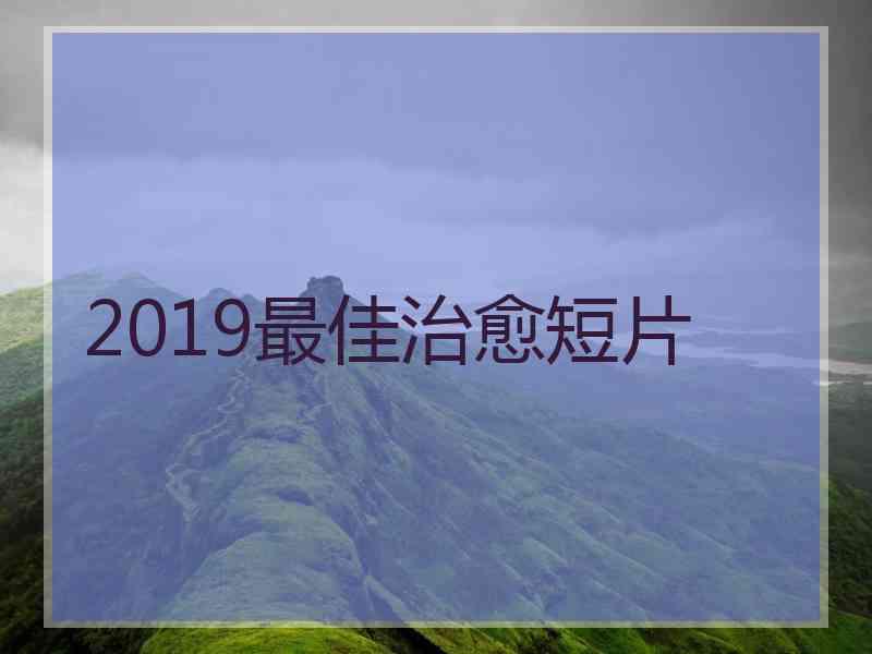 2019最佳治愈短片