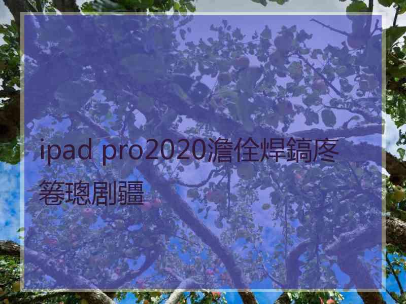 ipad pro2020澹佺焊鎬庝箞璁剧疆