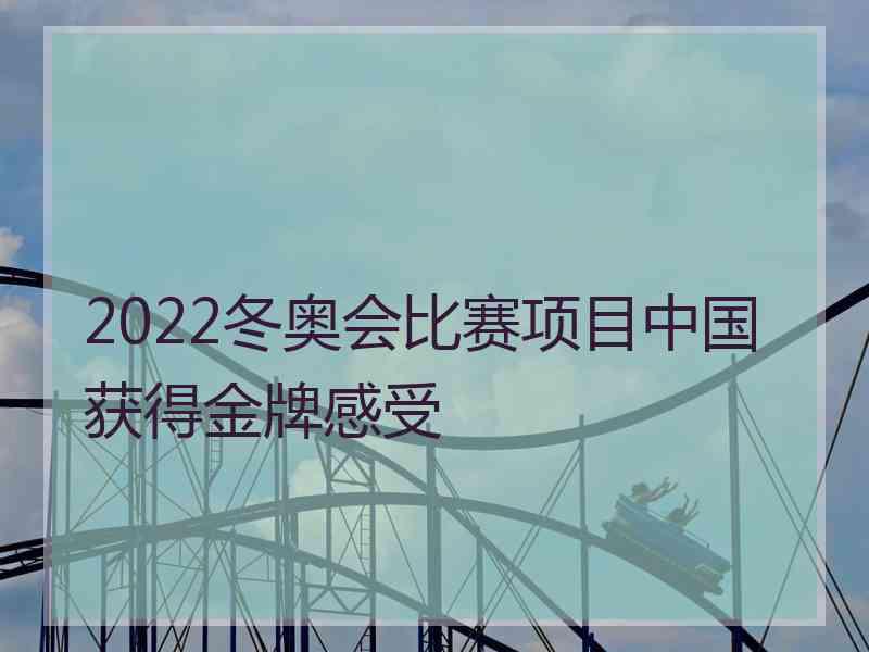 2022冬奥会比赛项目中国获得金牌感受