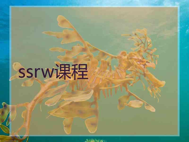 ssrw课程