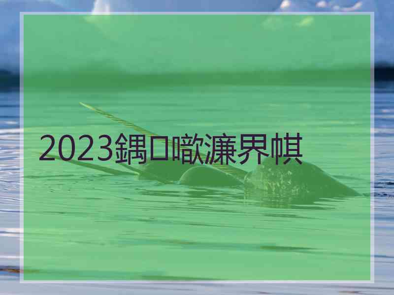 2023鍝噷濂界帺