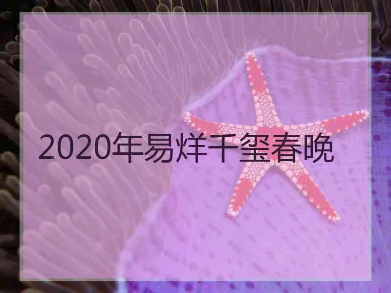 2020年易烊千玺春晚