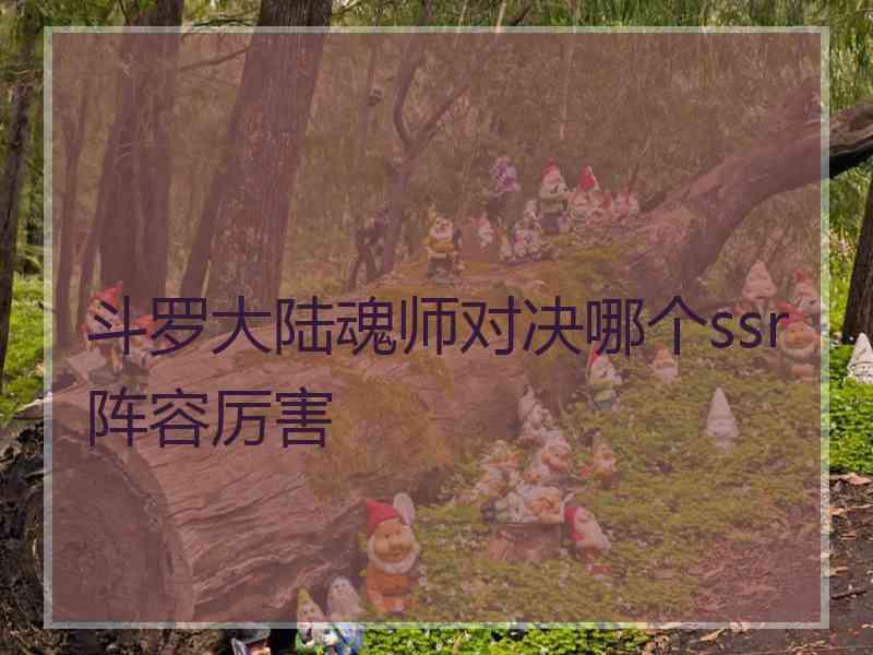 斗罗大陆魂师对决哪个ssr阵容厉害