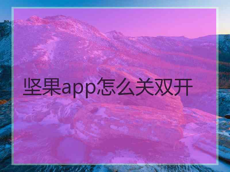 坚果app怎么关双开