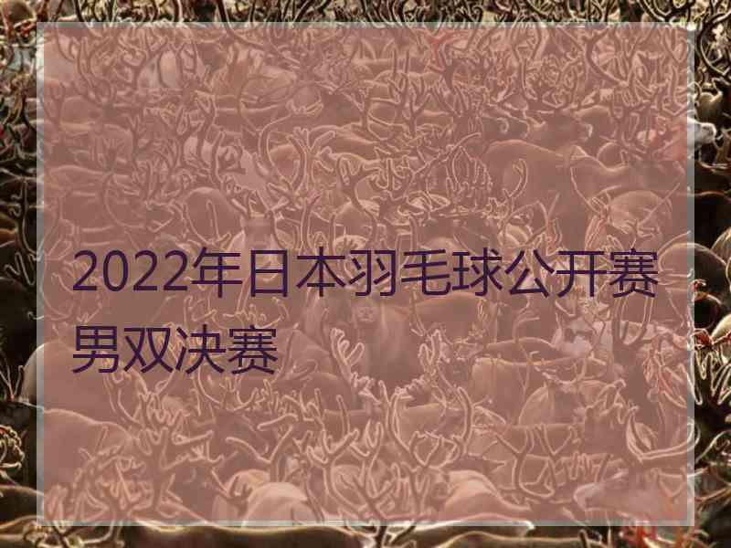 2022年日本羽毛球公开赛男双决赛