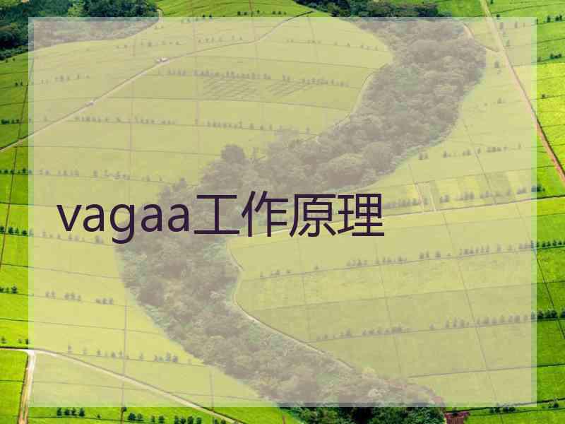 vagaa工作原理