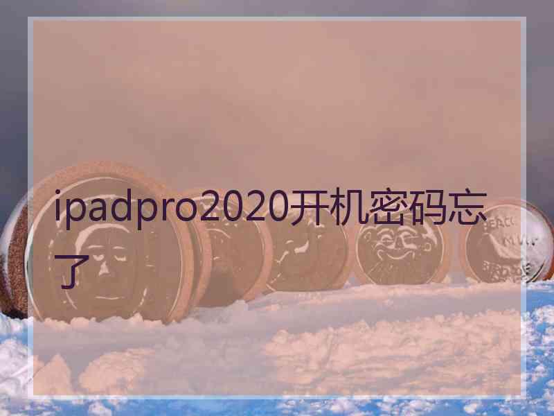 ipadpro2020开机密码忘了