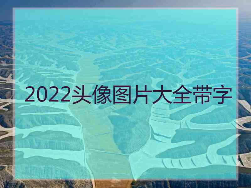 2022头像图片大全带字