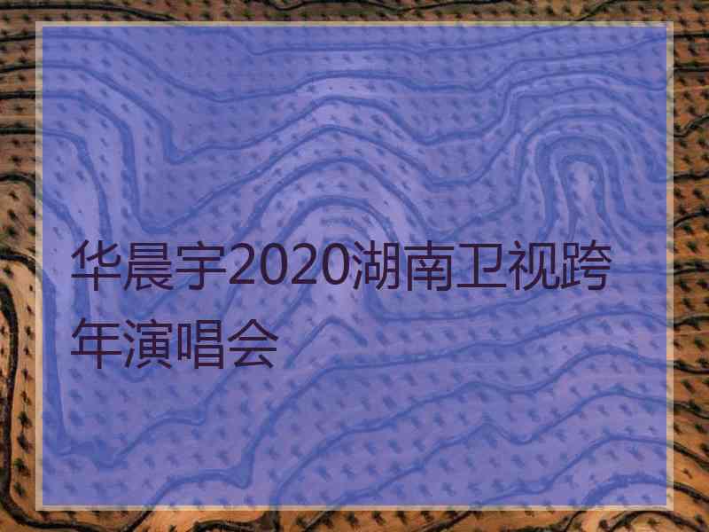 华晨宇2020湖南卫视跨年演唱会