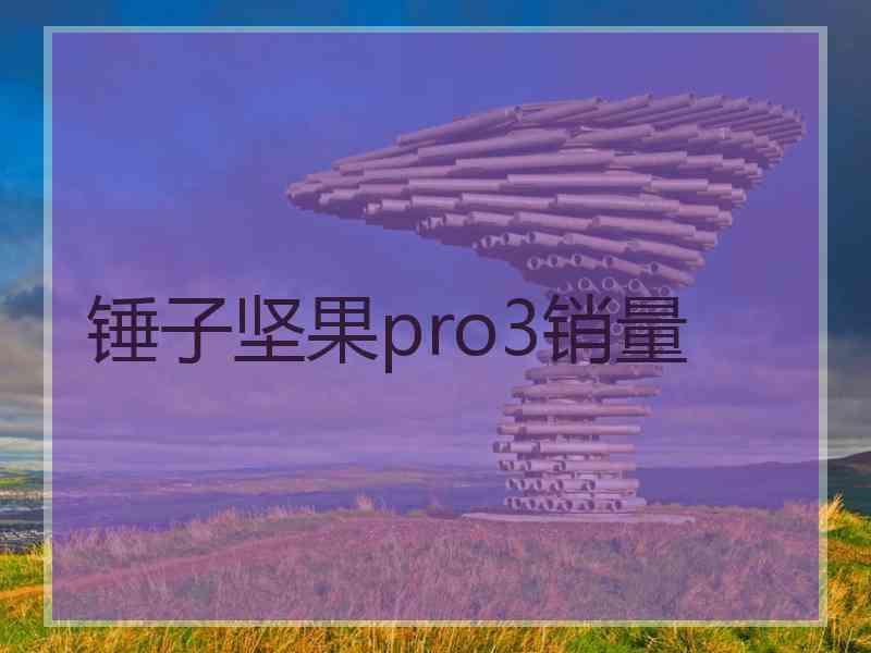 锤子坚果pro3销量