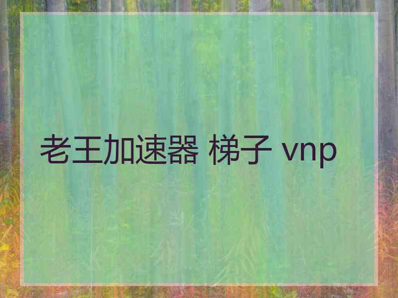 老王加速器 梯子 vnp