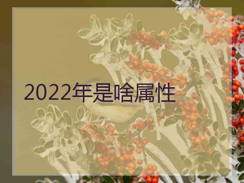 2022年是啥属性