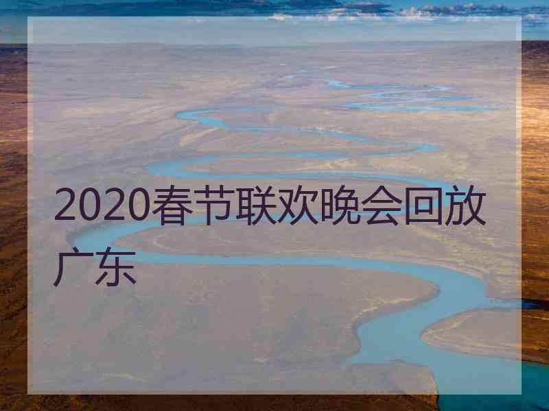 2020春节联欢晚会回放广东