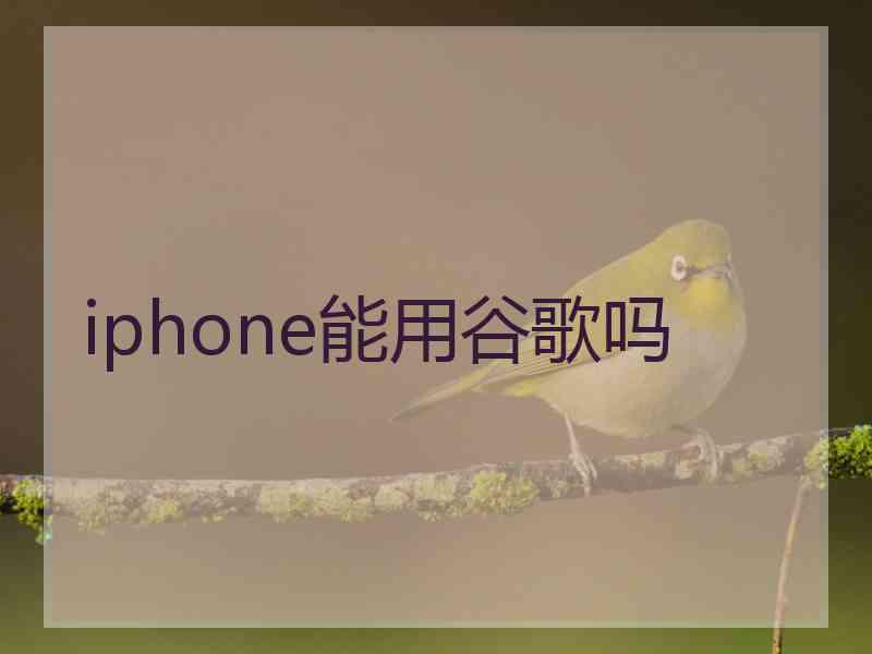 iphone能用谷歌吗