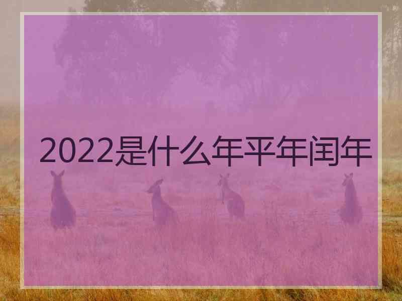 2022是什么年平年闰年