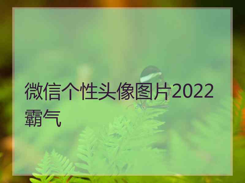 微信个性头像图片2022 霸气