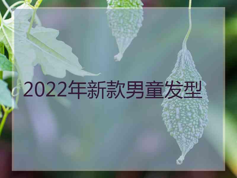 2022年新款男童发型