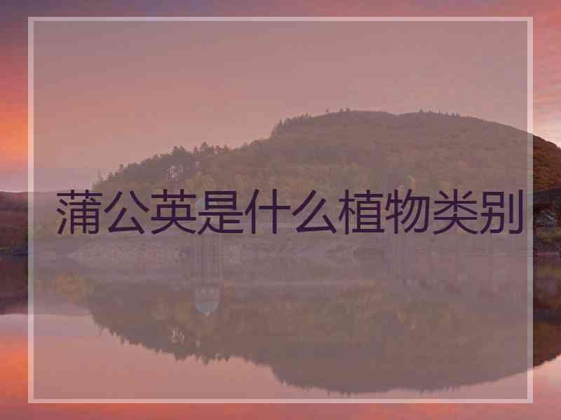 蒲公英是什么植物类别