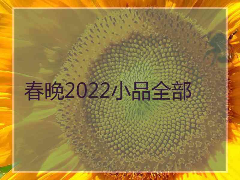 春晚2022小品全部