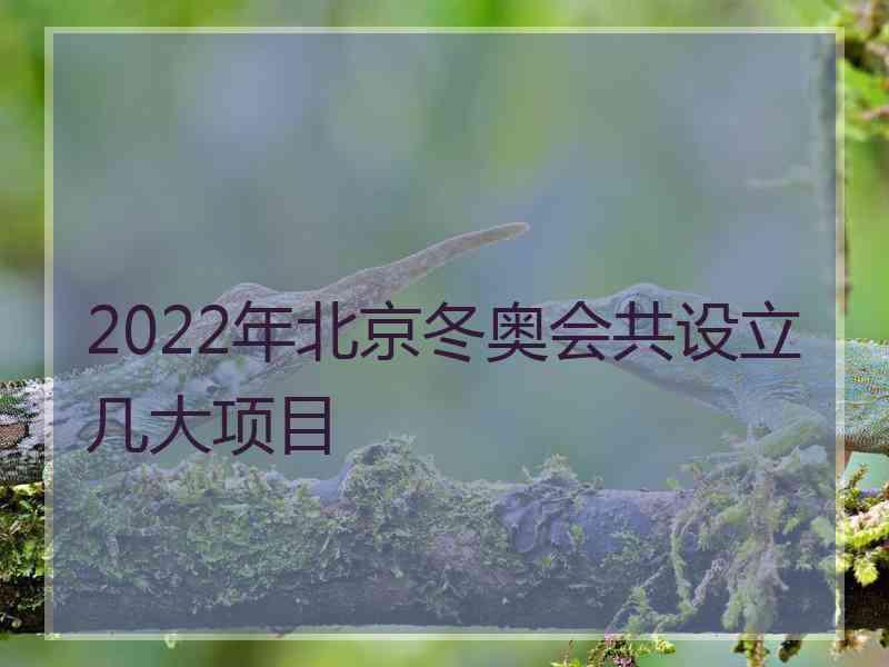 2022年北京冬奥会共设立几大项目