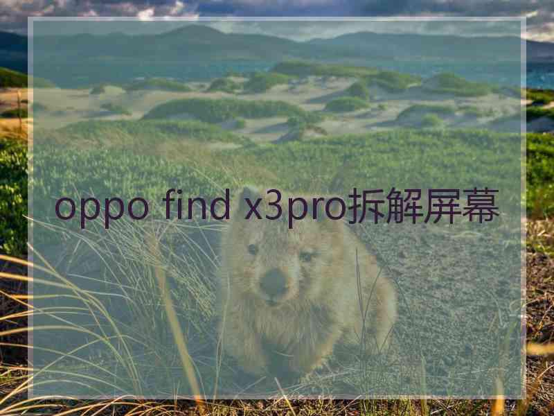 oppo find x3pro拆解屏幕