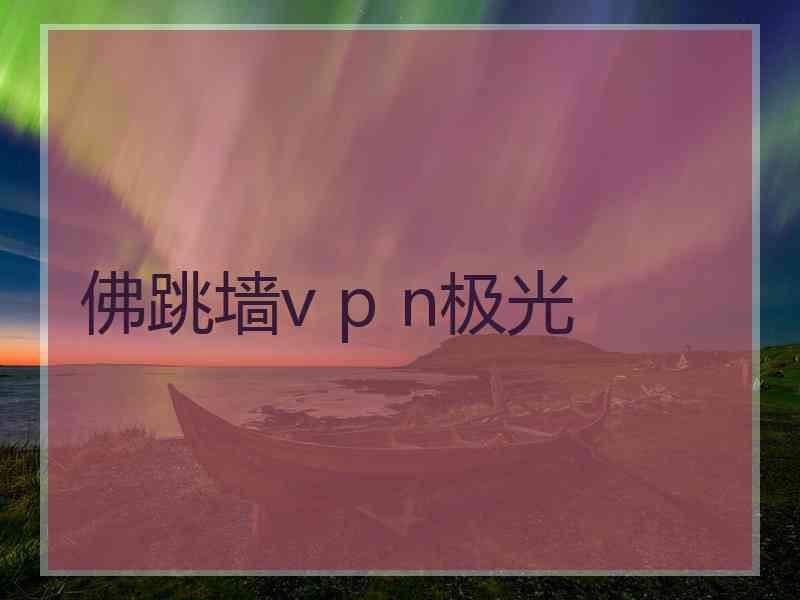 佛跳墙v p n极光