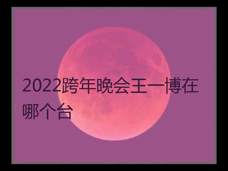 2022跨年晚会王一博在哪个台