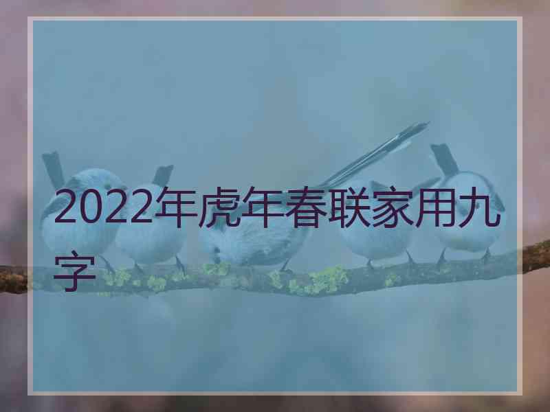 2022年虎年春联家用九字